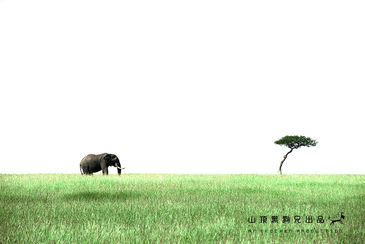 馬賽馬拉不是一個國家公園