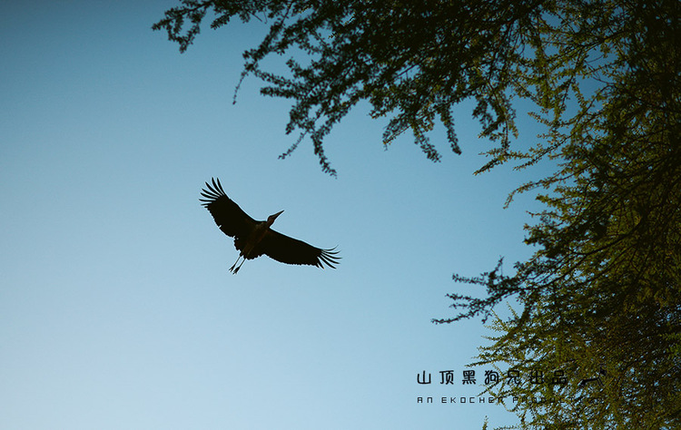 馬賽馬拉不是一個國家公園