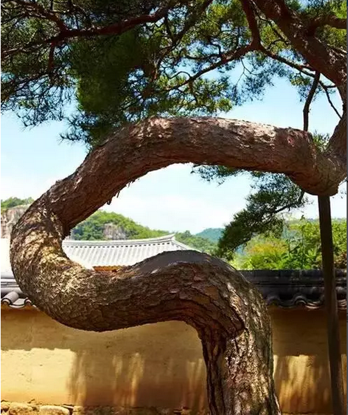 說五個去韓國自由行不可錯過的民宿