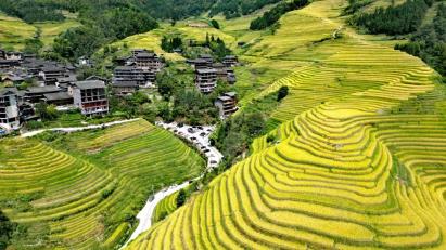 【龍脊神韻】<龍脊梯田、大漓江四星船、銀子巖、遇龍河4天3晚高鐵團>20人內精品小團