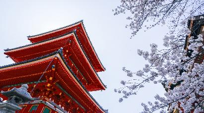 暑期【和風經典】<本州三古都の東京富士山大阪京都奈良鐮倉6天>深圳航空深圳往返直飛