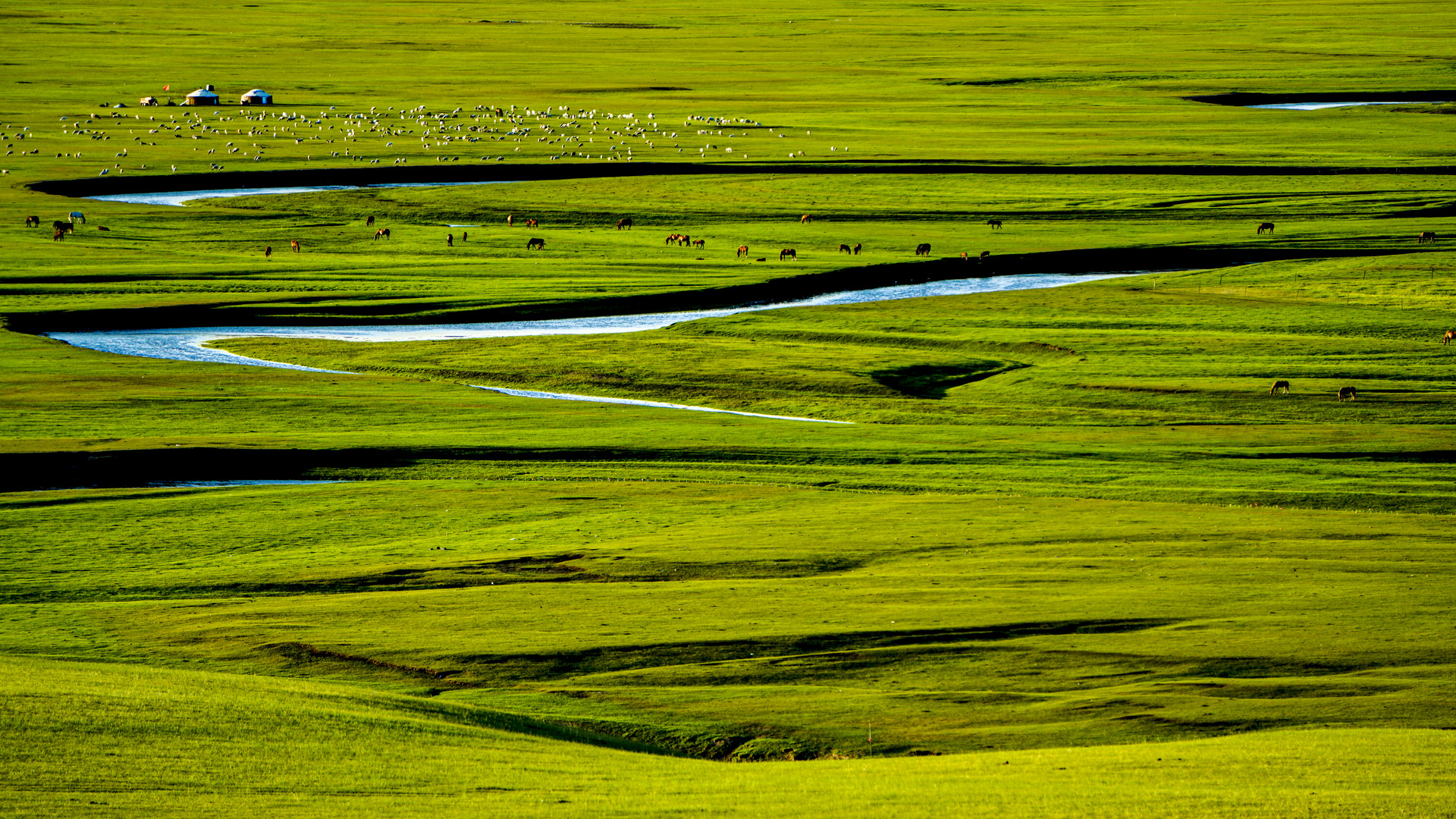 莫日格勒河封面圖