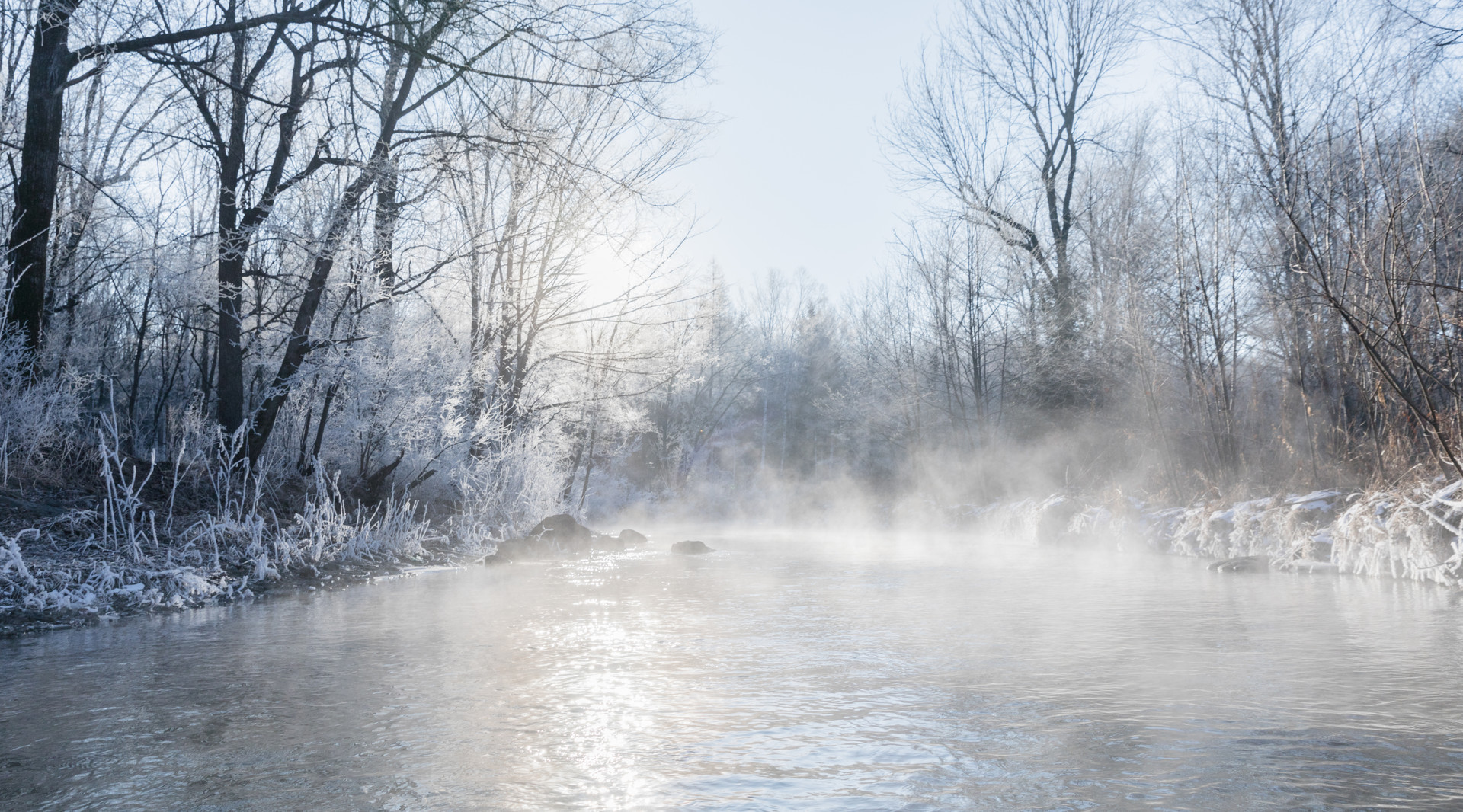長白山魔界封面圖