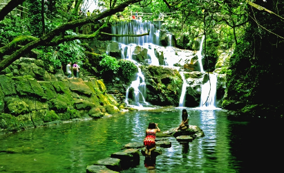 景點(diǎn):鼎湖山風(fēng)光