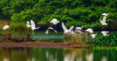 【江門陽江2天】<無限次浸泡空中園林溫泉、開平碉樓、赤坎古鎮僑鄉國際旅游區、漁家樂游船捕魚>