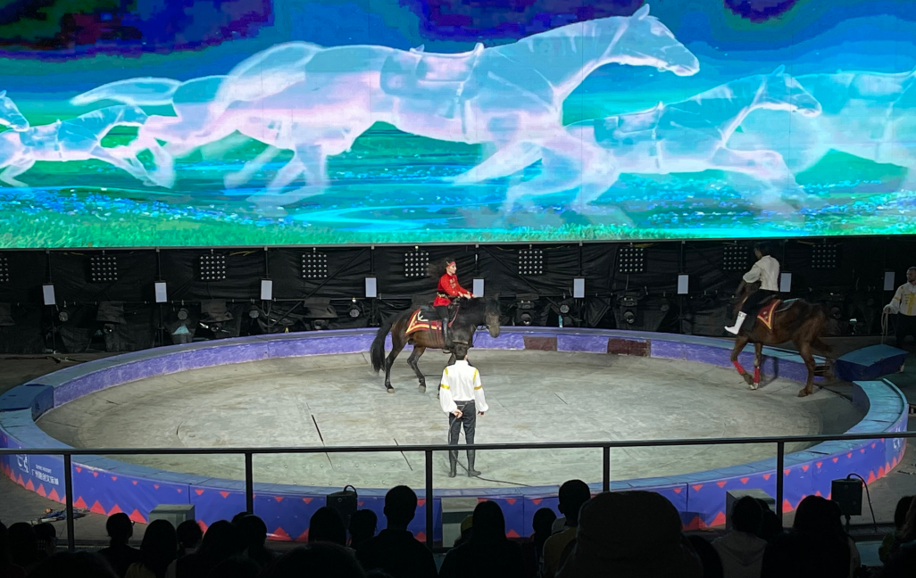 歡騰國際馬戲1封面圖