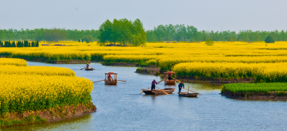 【S2線-純玩深坑】<泰州/上海/無錫/南京/烏鎮(zhèn)>雙飛6天游