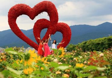 景點:心連心玫瑰花海