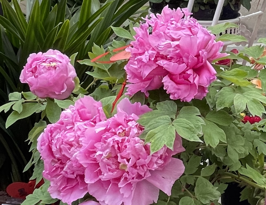 景點(diǎn)封面圖