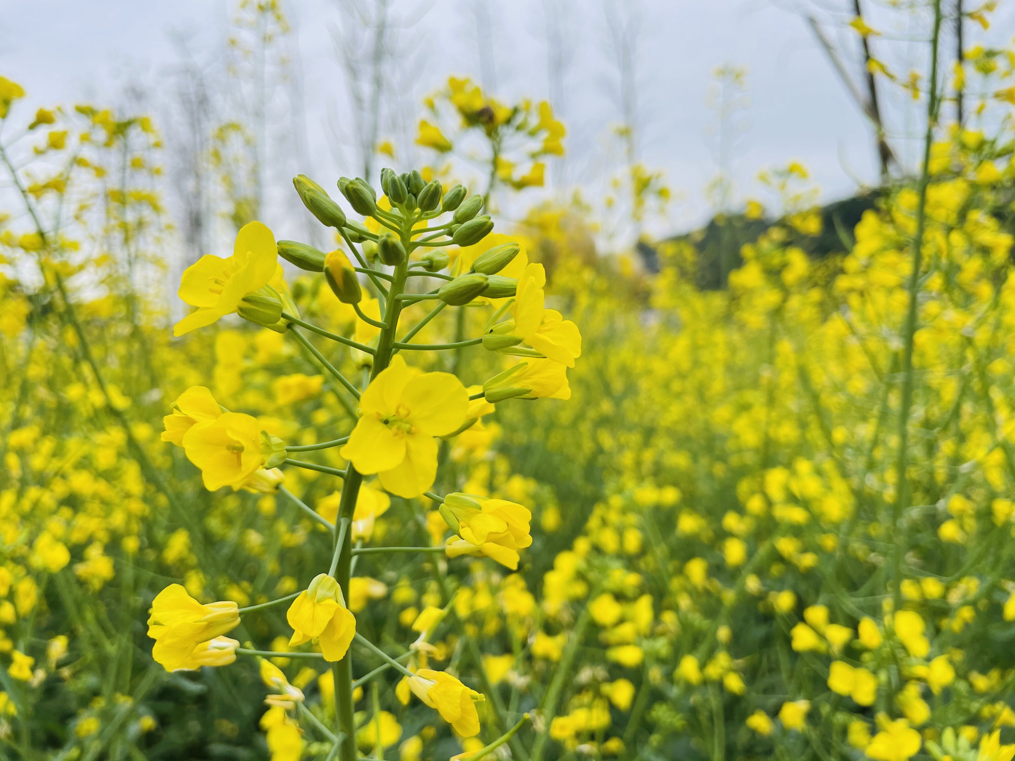 景點(diǎn)封面圖