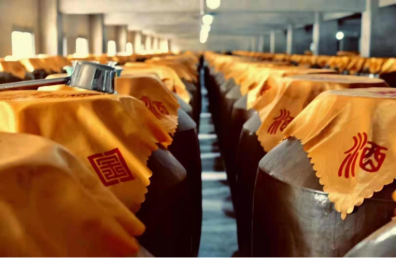 景點：金窖酒業